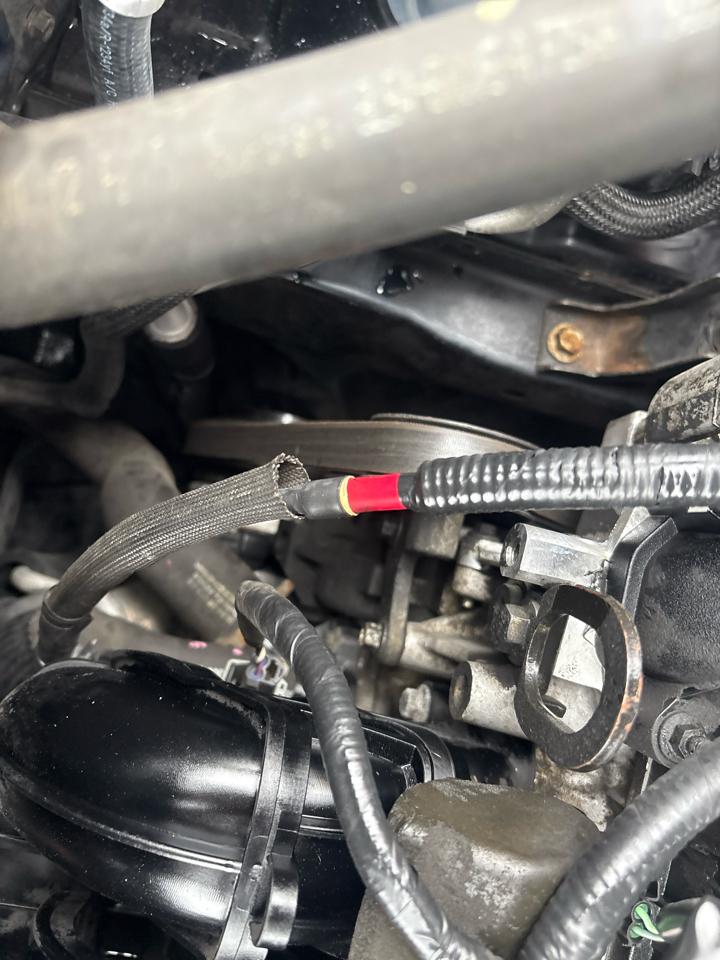 Ford Escape XLT 4WD 2011