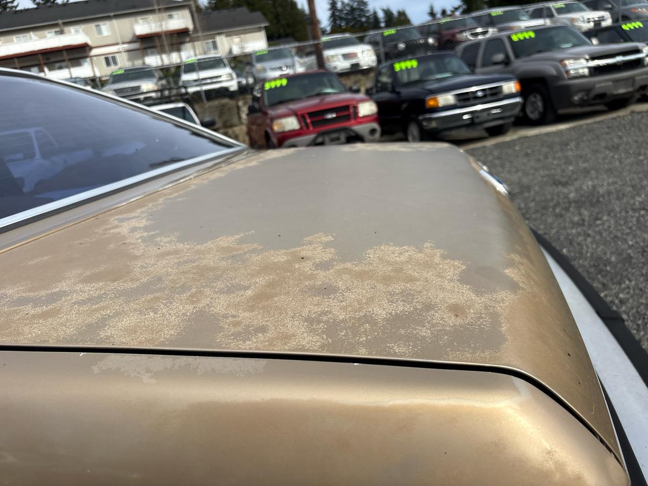 BMW 6-Series Gran Coupe  1980