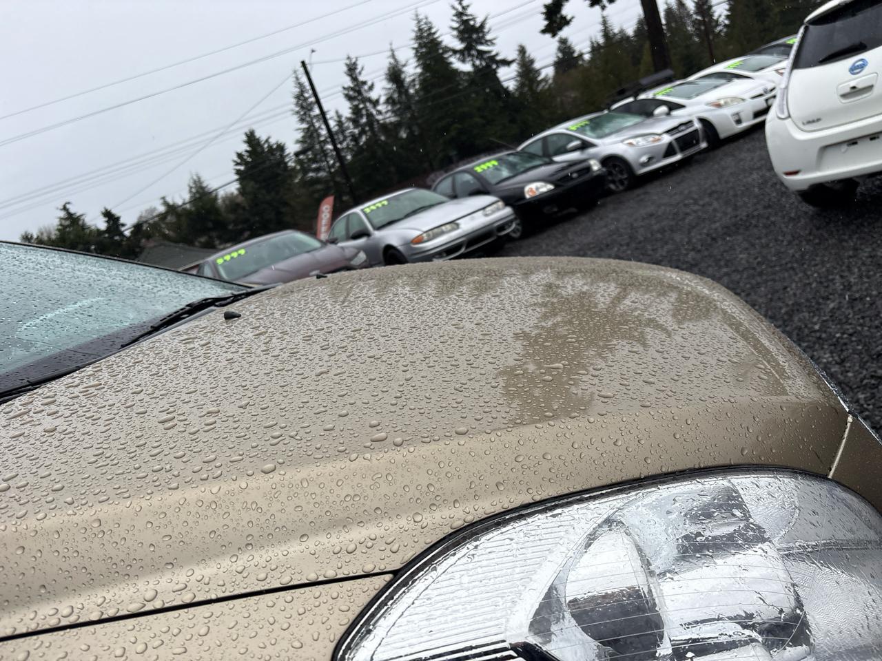 Hyundai Entourage SE 2007