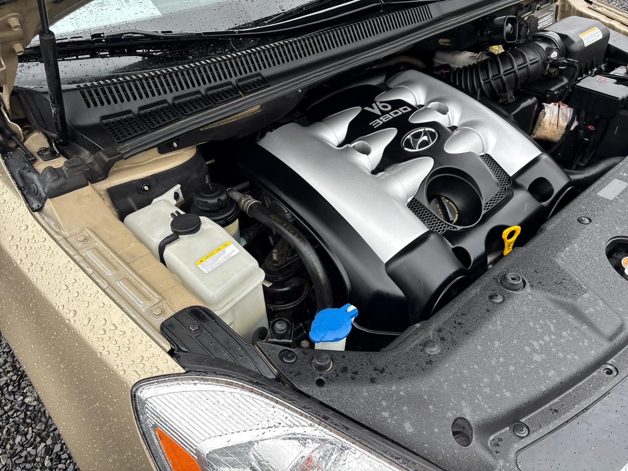 Hyundai Entourage SE 2007