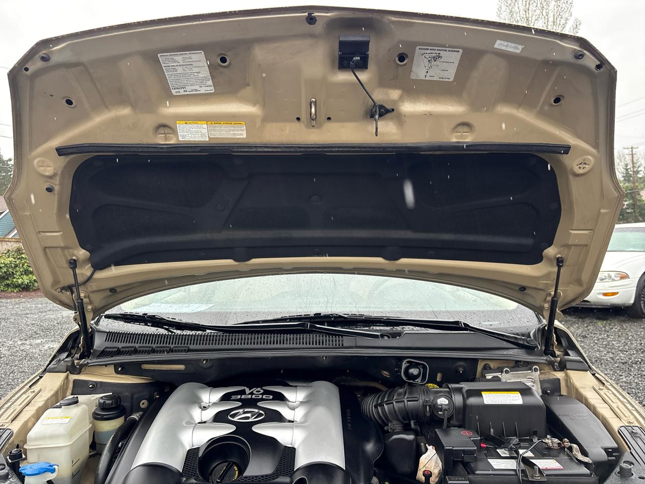 Hyundai Entourage SE 2007