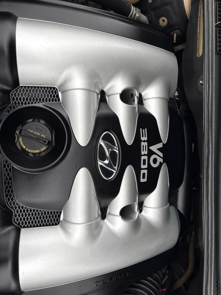 Hyundai Entourage SE 2007