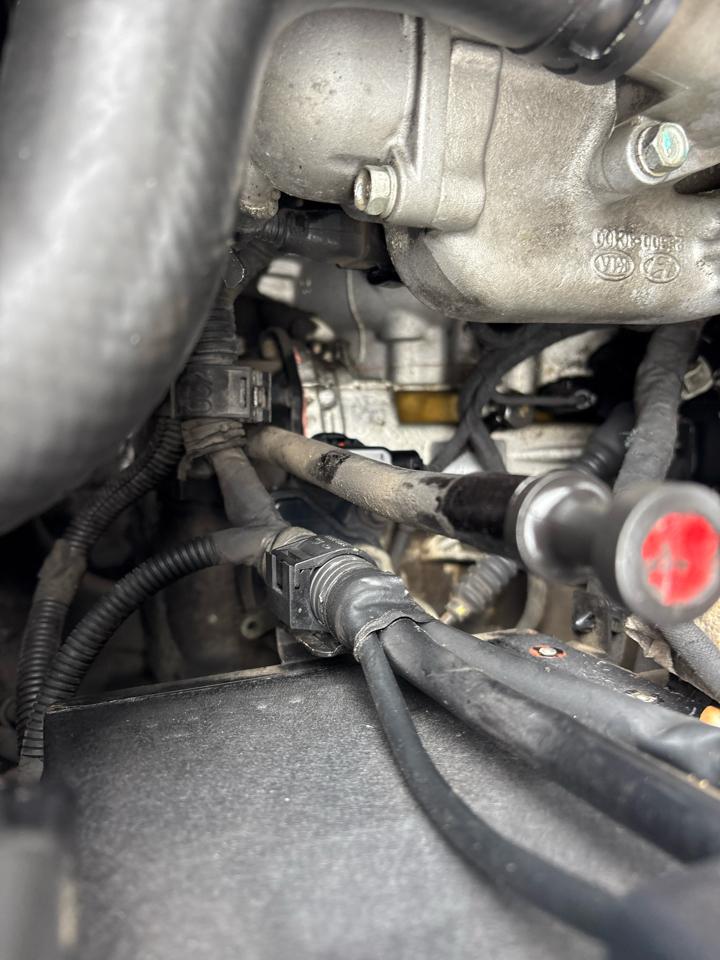 Hyundai Entourage SE 2007