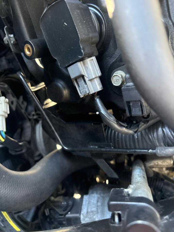 Nissan Murano S 2009