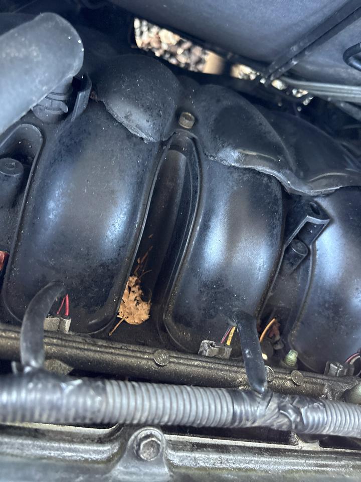Toyota Camry LE 2005