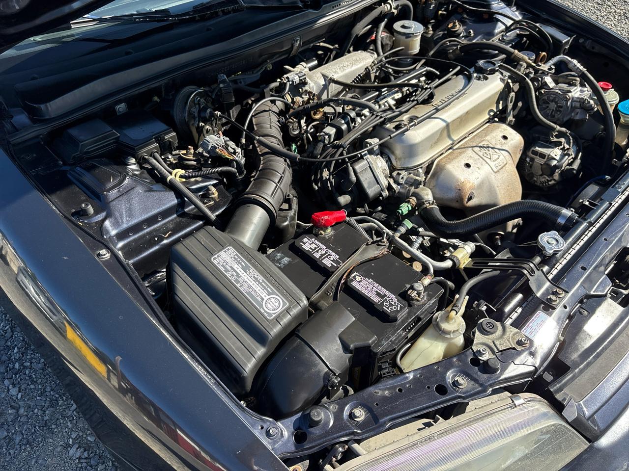 Honda Accord LX sedan 1995