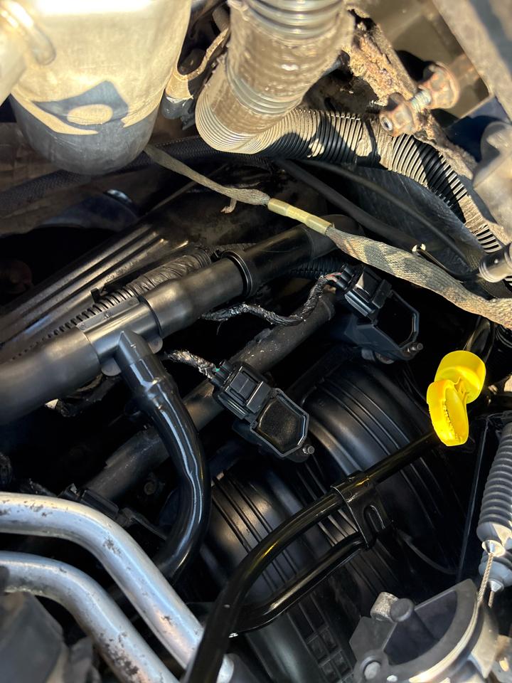 Dodge Dakota Sport Quad Cab 2WD 2004