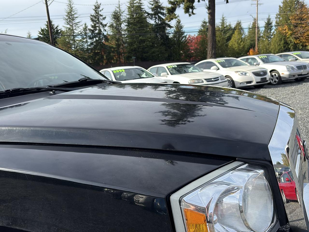 Dodge Dakota SLT Quad Cab 4WD 2006