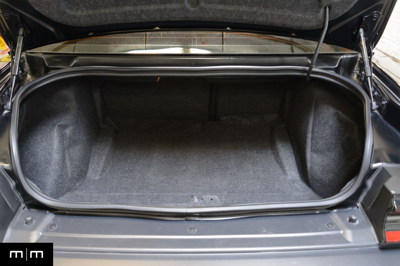 Dodge Challenger  2019