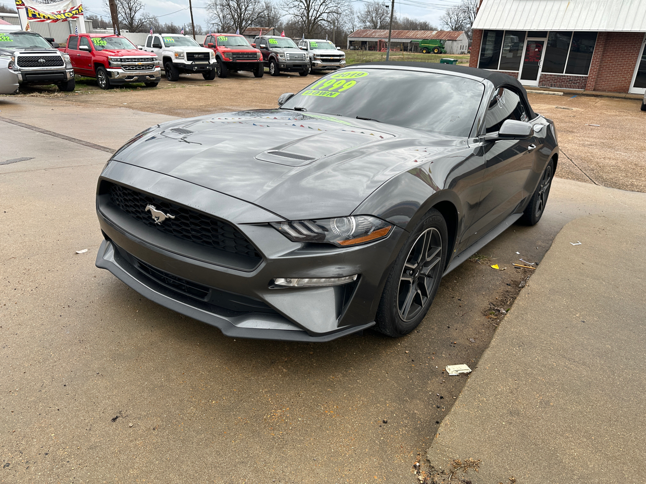 Ford Mustang EcoBoost Convertible 2019