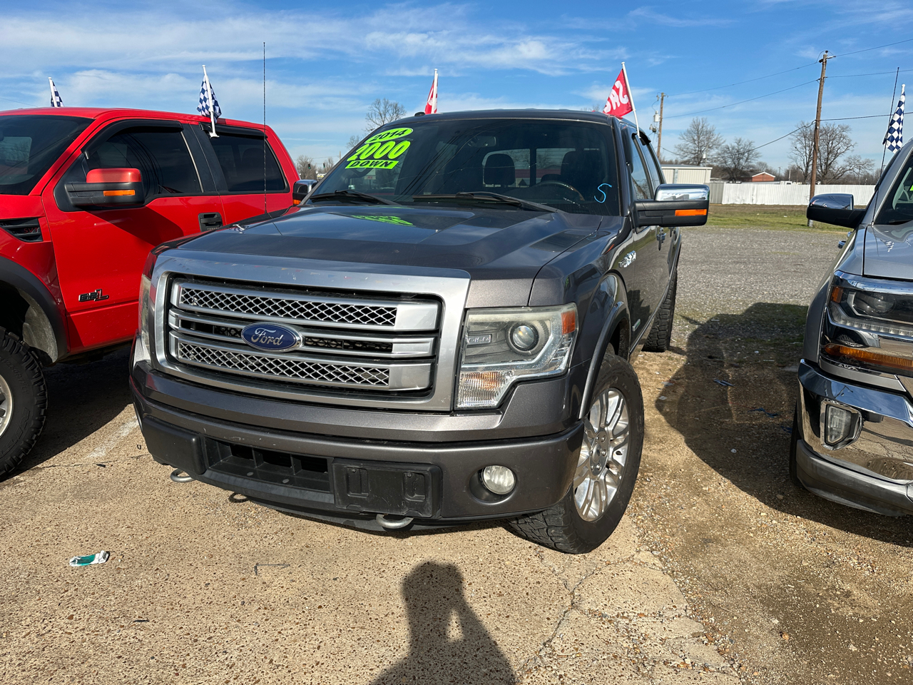 2014 Ford F-150 Platinum's photo