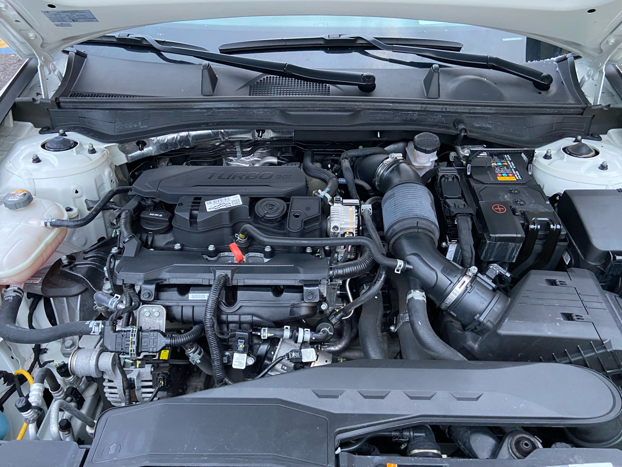 Hyundai Sonata Limited 2023