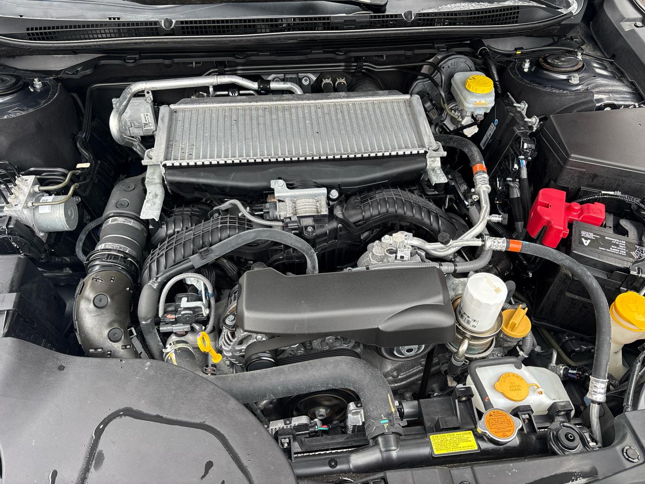 Subaru Outback Wilderness 2024