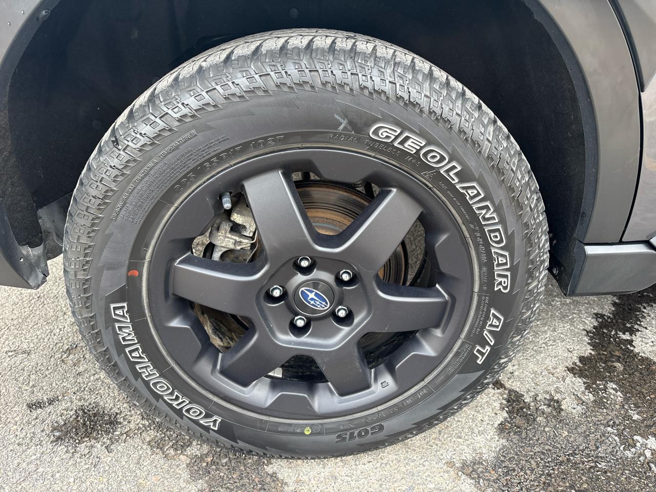 Subaru Outback Wilderness 2024