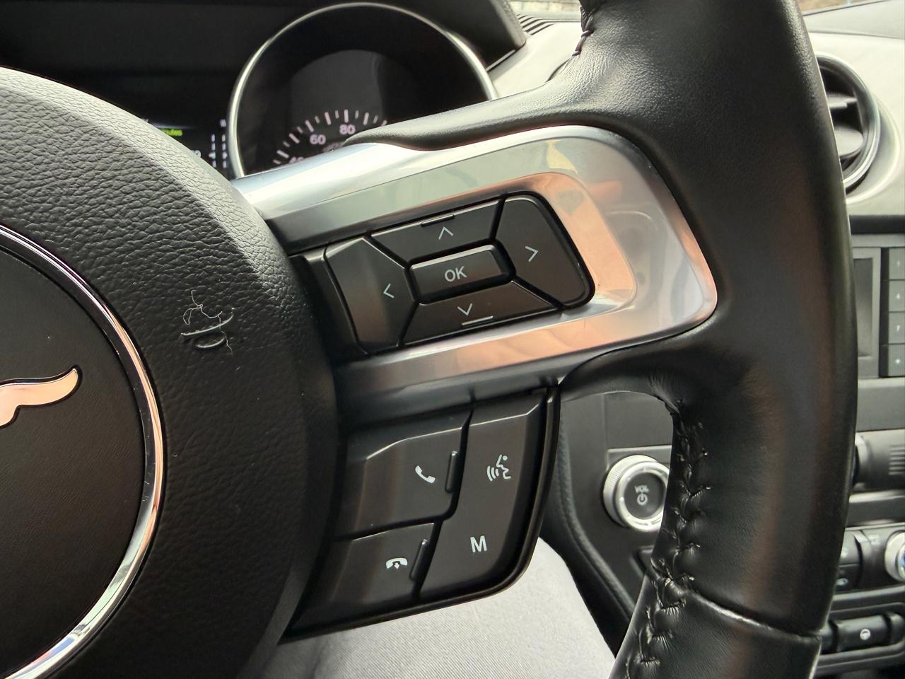 Ford Mustang GT Premium Coupe 2022