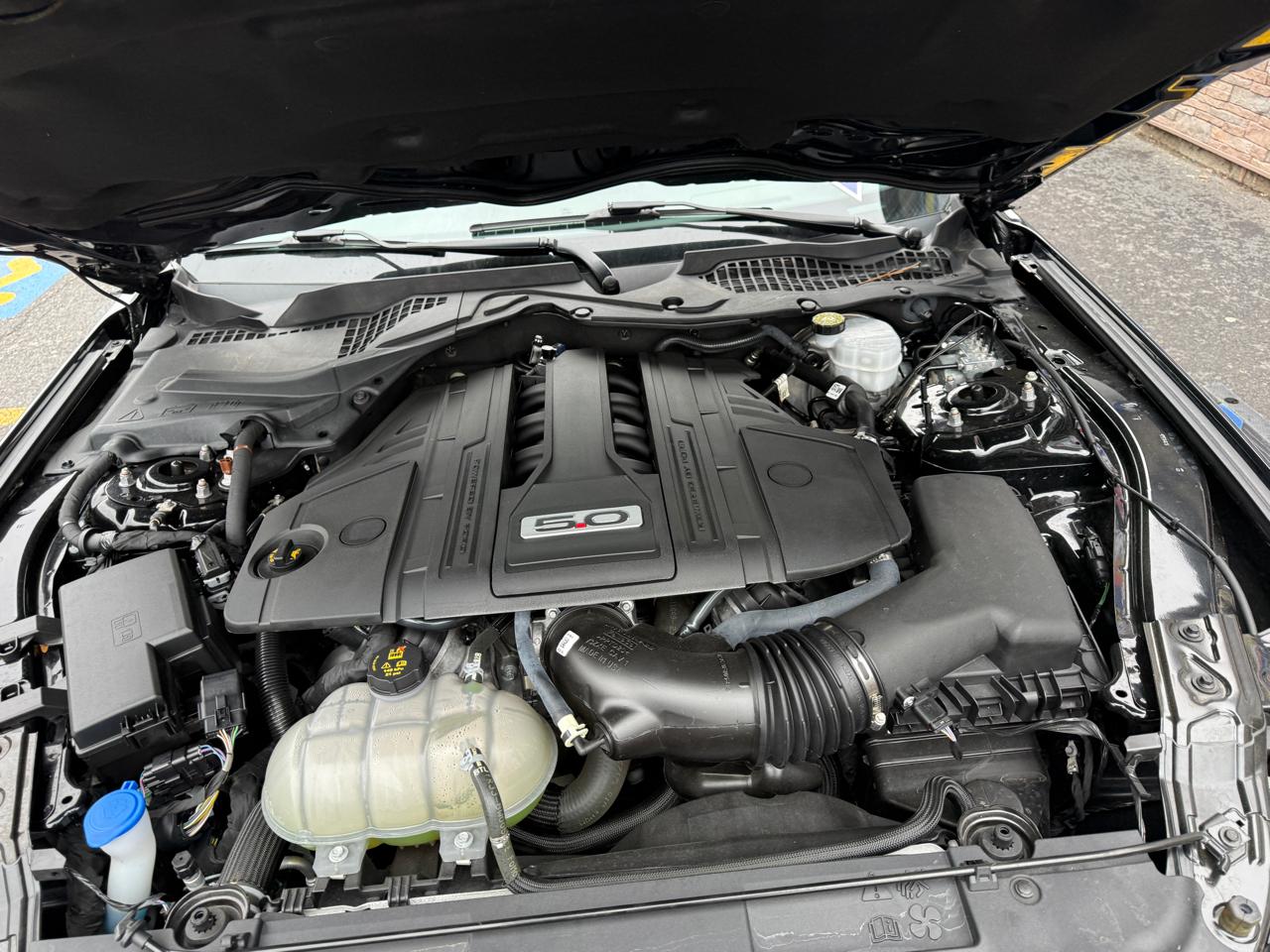 Ford Mustang GT Premium Coupe 2022