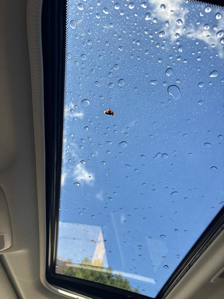 Mazda CX-5 Grand Touring AWD 2020