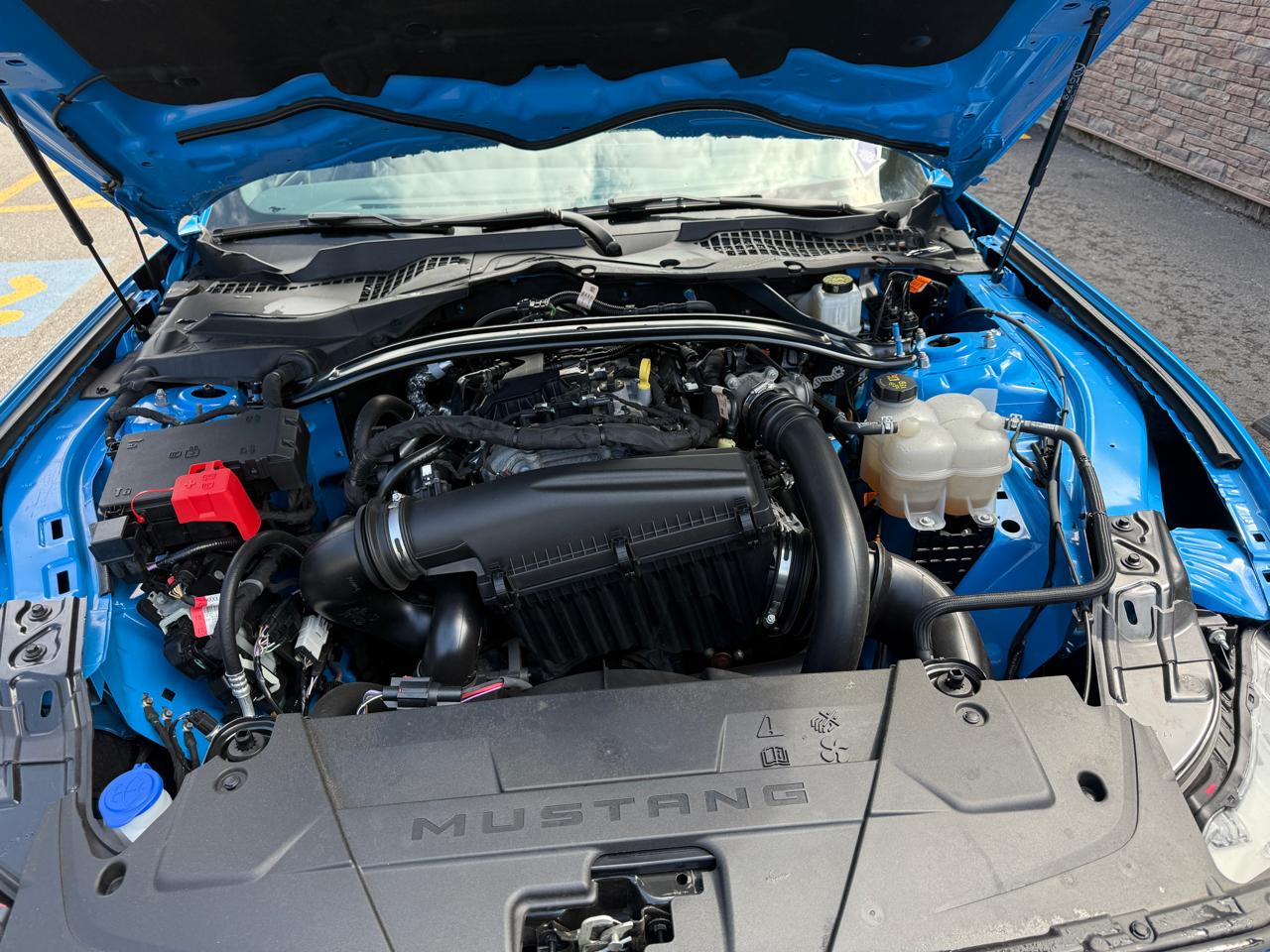 Ford Mustang EcoBoost Premium Convertible 2025