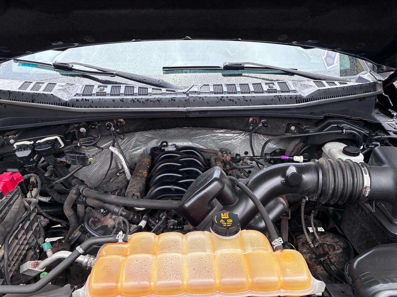 Ford F-150 XL 4WD 6.5 ft. 2017