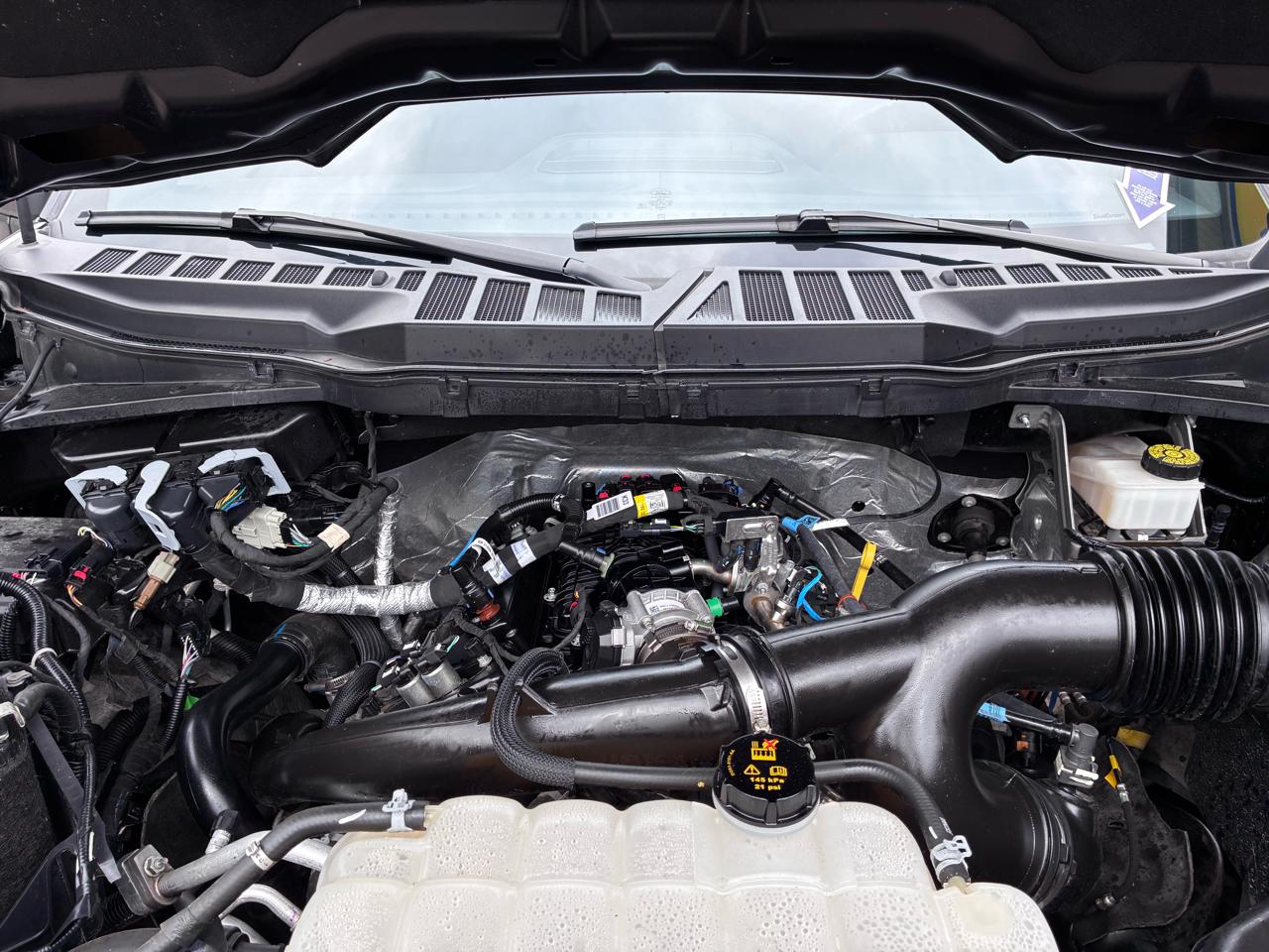 Ford F-150 XLT SuperCrew 4WD 2024