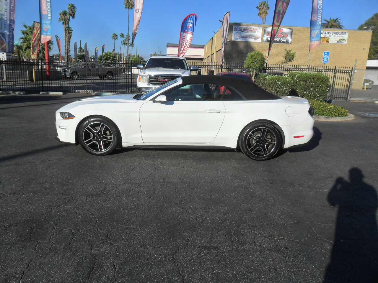 Ford Mustang EcoBoost Convertible 2020 Ford Mustang EcoBoost Convertible 2020