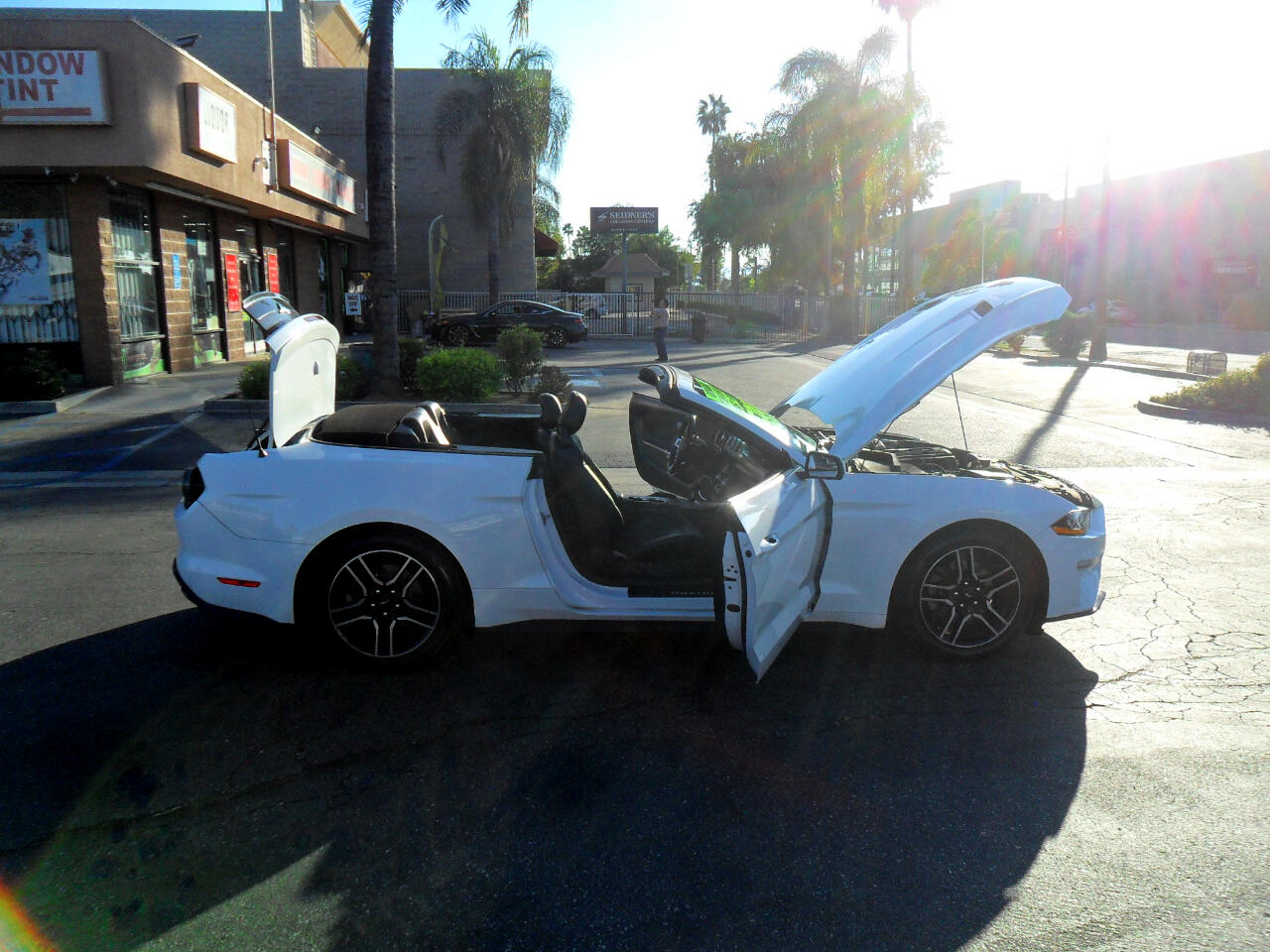 Ford Mustang EcoBoost Convertible 2020 Ford Mustang EcoBoost Convertible 2020