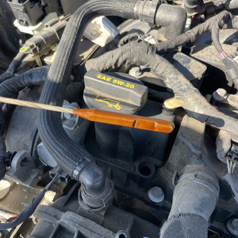 Ford Fusion SEL 2019