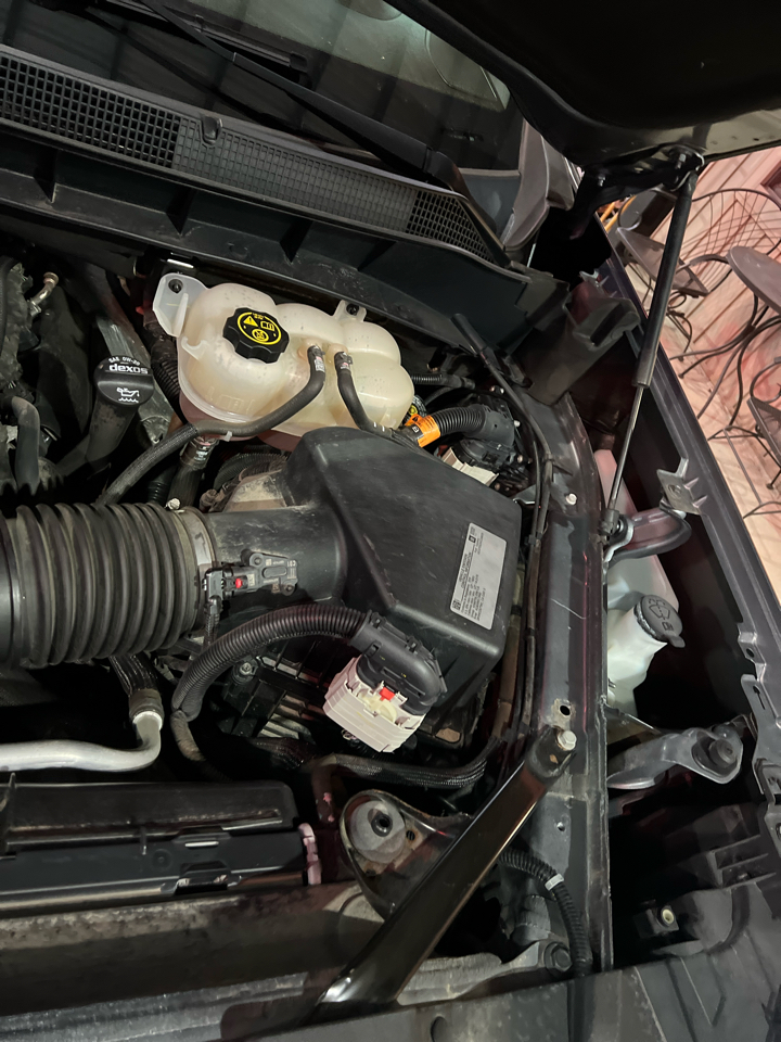 Chevrolet Silverado 1500  2019