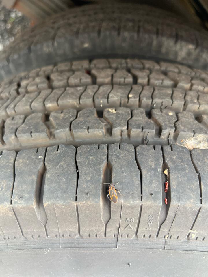 GMC Savana 3500 2016