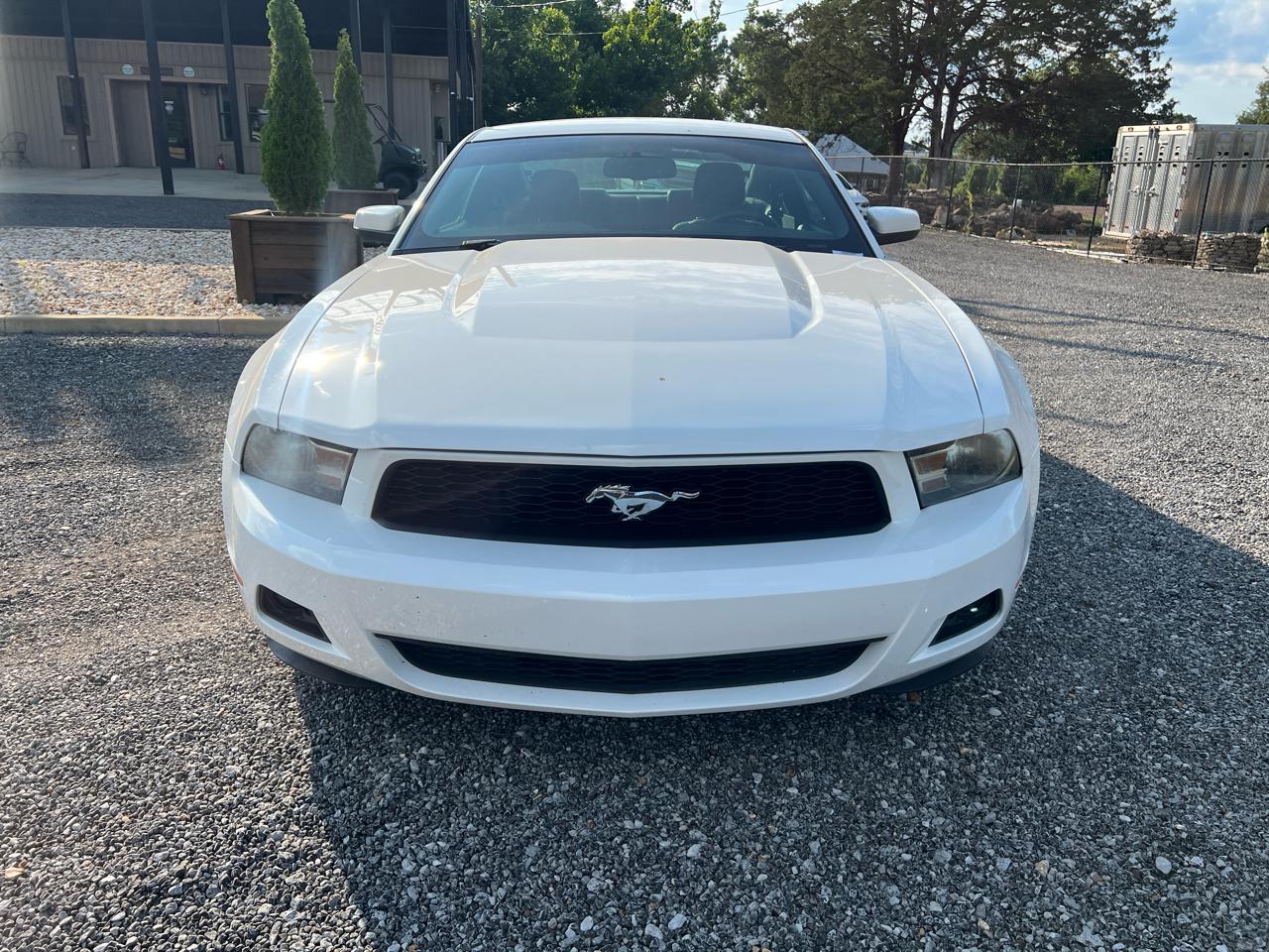 Ford Mustang  2010