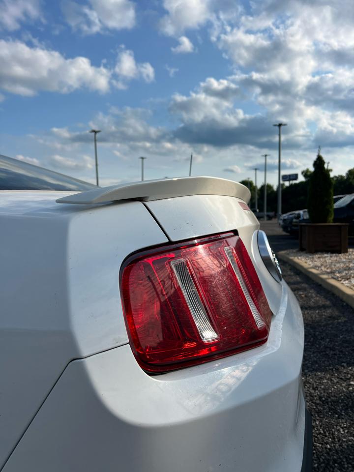 Ford Mustang  2010