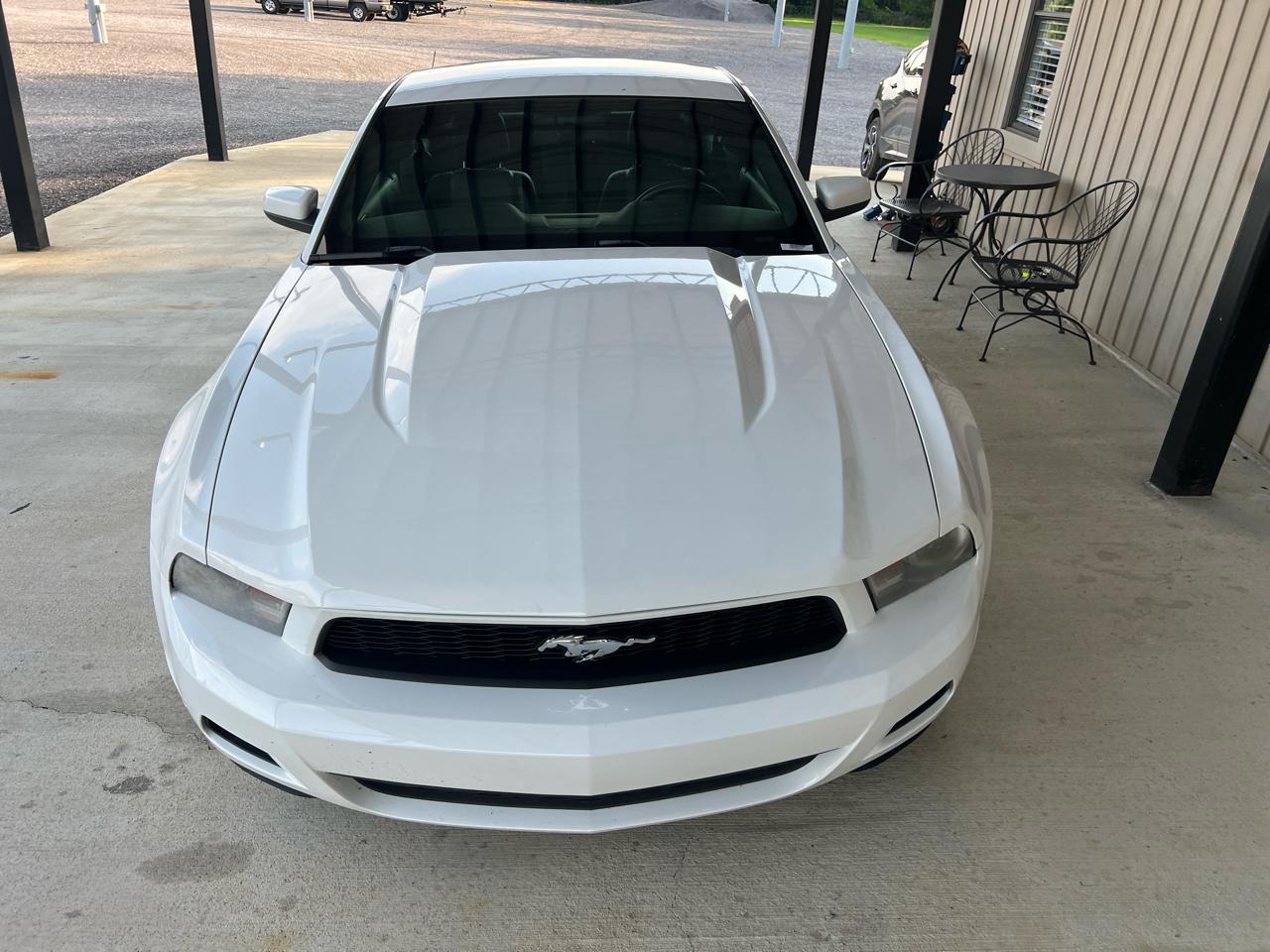 Ford Mustang  2010
