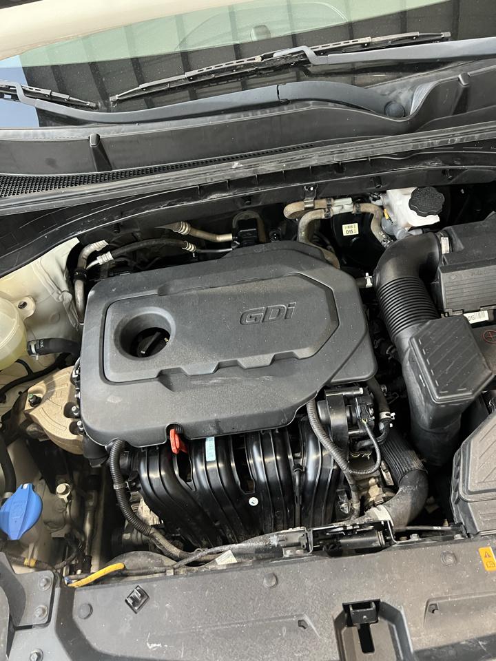 Kia Sportage  2019
