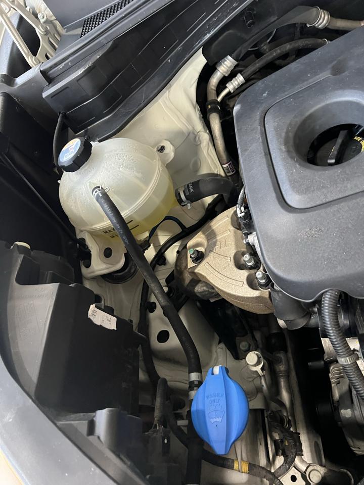 Kia Sportage  2019