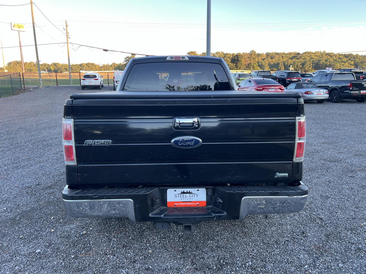 Ford F-150  2010
