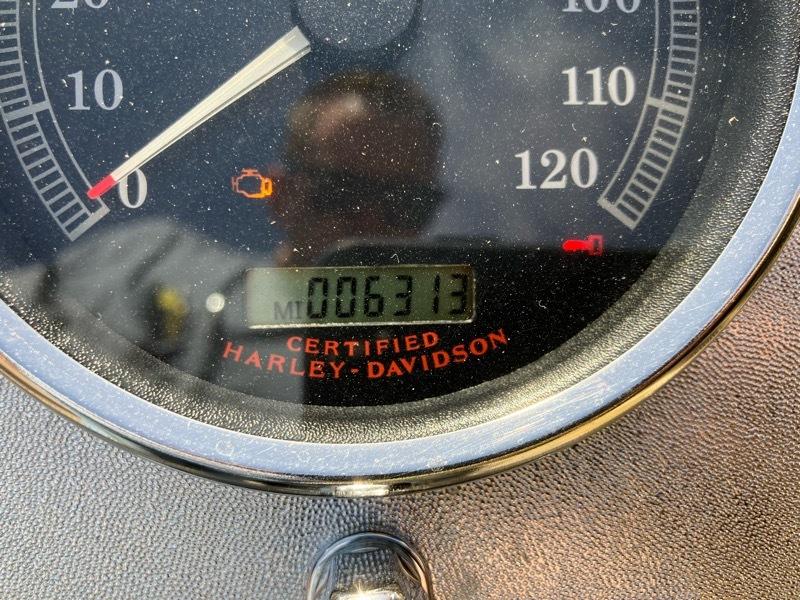 Harley-Davidson FLSTC  2004