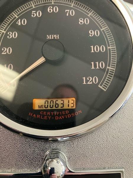 Harley-Davidson FLSTC  2004