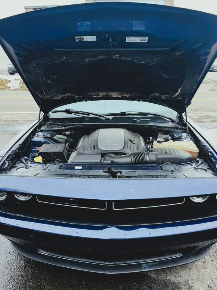 Dodge Challenger R/T Plus 2017