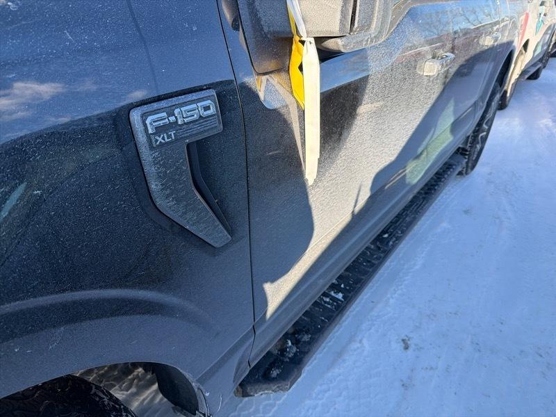 Ford F-150 XLT SuperCrew 5.5-ft. Bed 4WD 2023