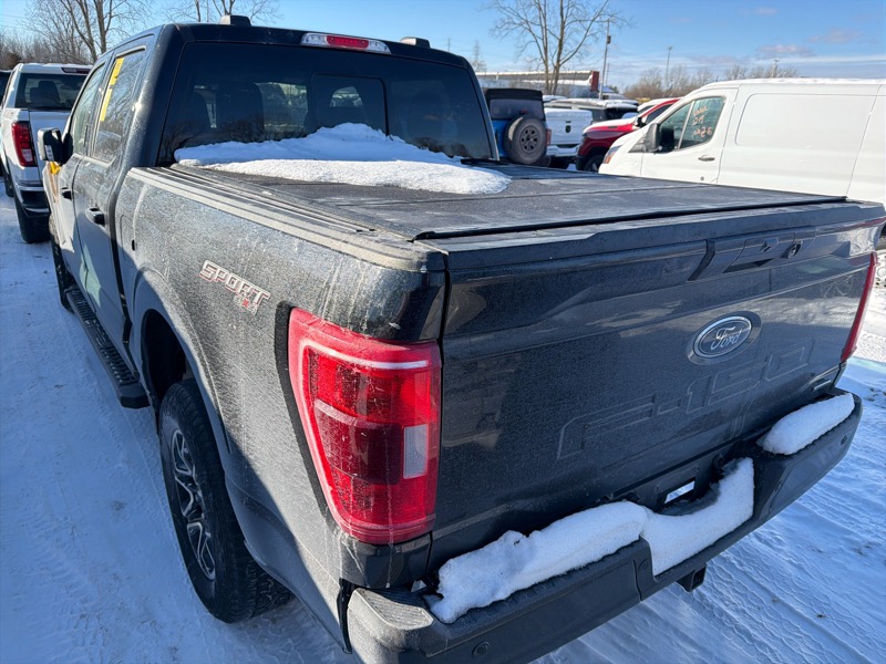 Ford F-150 XLT SuperCrew 5.5-ft. Bed 4WD 2023