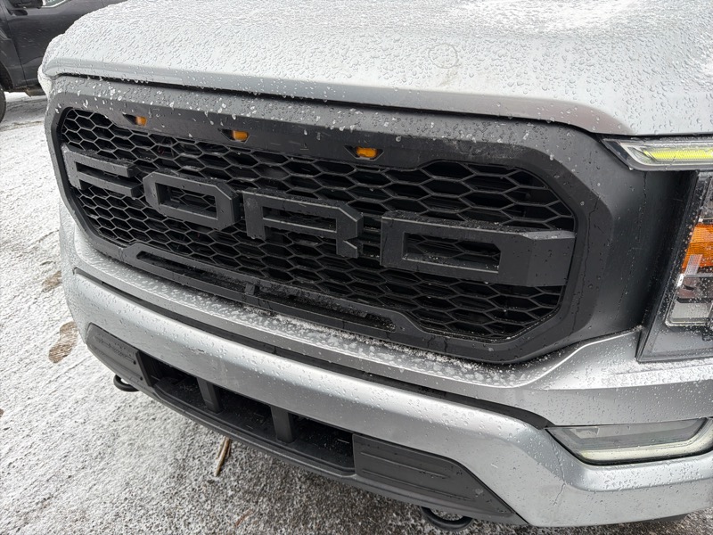 Ford F-150 XLT SuperCrew 6.5-ft. Bed 4WD 2022