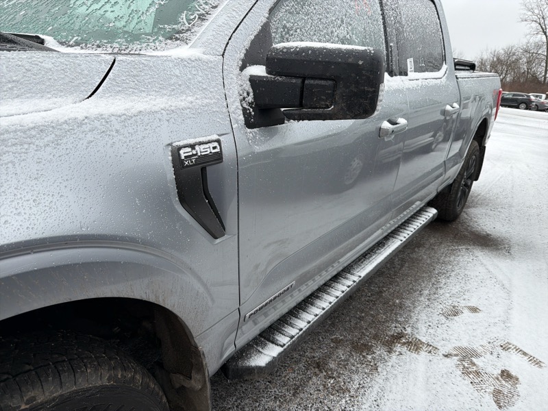 Ford F-150 XLT SuperCrew 6.5-ft. Bed 4WD 2022