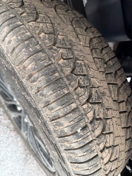 Ford F-150 XLT SuperCrew 6.5-ft. Bed 4WD 2022