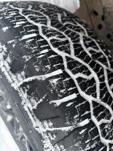 Ford F-150 XLT SuperCrew 4WD 2024