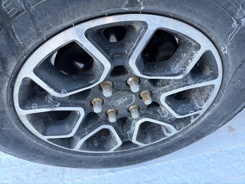 Ford F-150 XLT SuperCrew 6.5-ft. Bed 4WD 2022