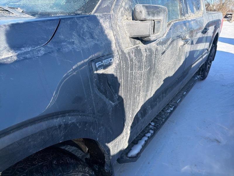 Ford F-150 XLT SuperCrew 6.5-ft. Bed 4WD 2022