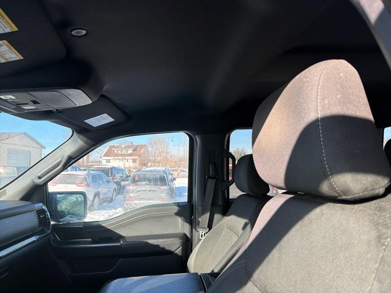 Ford F-150 XLT SuperCrew 6.5-ft. Bed 4WD 2022