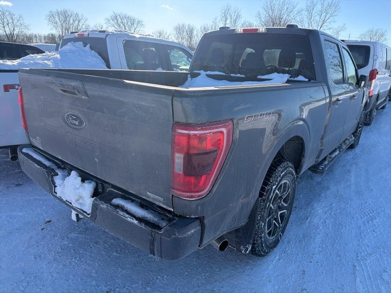 Ford F-150 XLT SuperCrew 6.5-ft. Bed 4WD 2022