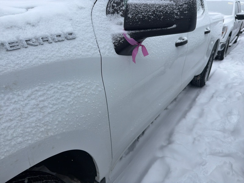 Chevrolet Silverado 1500 Work Truck 4WD 2024