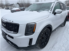 2022 Kia Telluride 